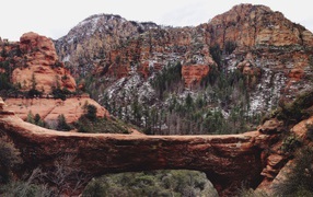 Мост через ущелье