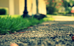 Камни на дороге