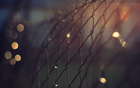 Проволочный забор