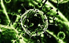 Вирус под микроскопом