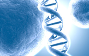 Молекула ДНК