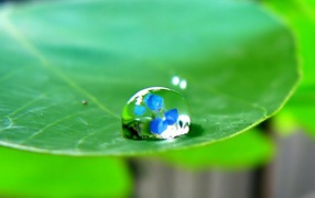 Отражение в капле воды