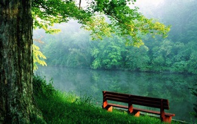 Bench by the river