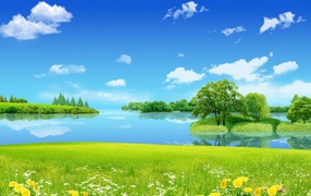 Цветы на лугу у озера