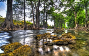 Природа вдоль реки
