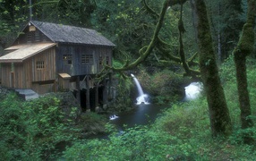 Плотина на реке в лесу