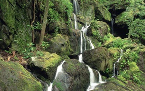 Вода течет по камням