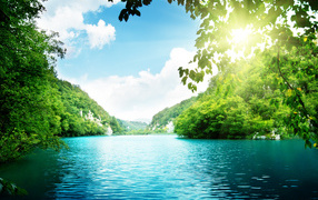 Заросли на берегу озера