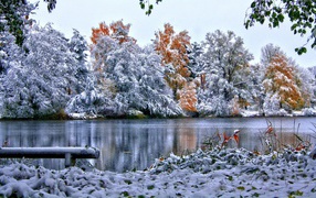 Зимний пейзаж у реки