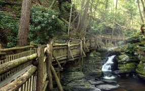 Деревянный мост