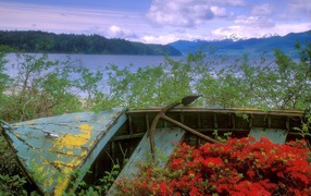 Заброшенная лодка с якорем