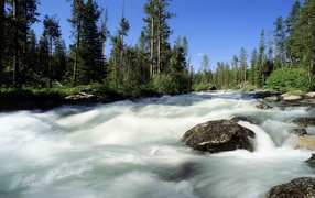 	  River Idaho