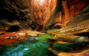 	   Green river gorge