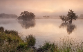 Утро в Англии