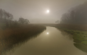 Солнце светит сквозь туман