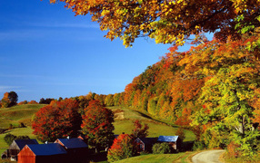 Осень в деревне