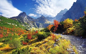 Autumn in the mountain gorge