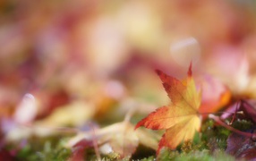 Осенний пейзаж