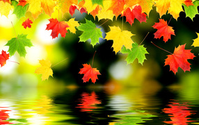 Осенние листья над водой