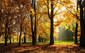 Осенний сезон