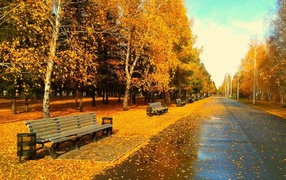 Benches in city park in autumn