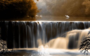 Bird waterfall