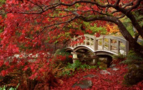 Мост в осеннем парке