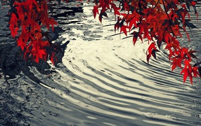 Круги на воде