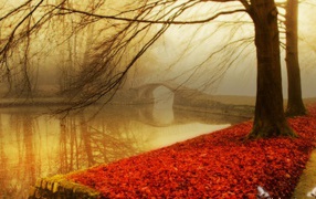 Туман в осеннем парке