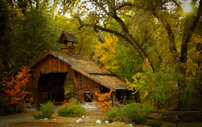 House in the autumn forest