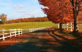 Дорога у фермы осенью