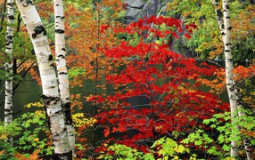 Парк Нью Йорка