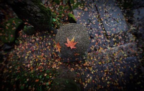 	   Autumn in Japan