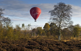 	   Balloon in the autumn sky