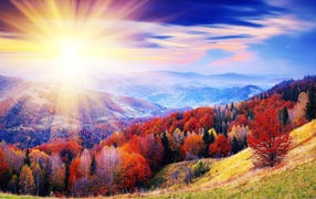 Разноцветные краски осени