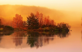 Оранжевый пейзаж