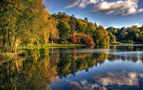 Озеро с упавшими листьями