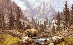 Bear in the spring creek