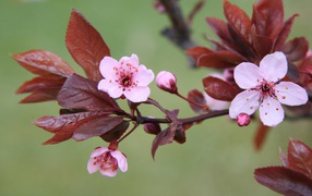 Теплая красота весенней природы