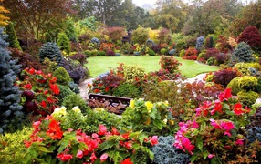 Цветущий красивый весенний лес