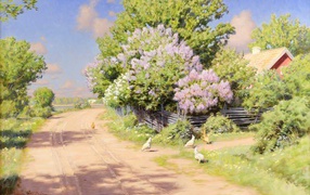 Blossoming trees in spring