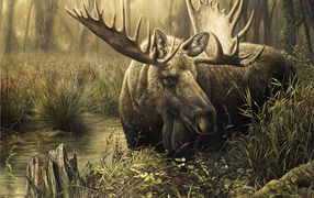 Лось в весеннем ручье