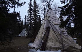 Талый снег весной