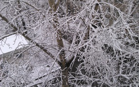 Талый снег в городе
