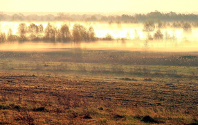 Туманное утро в весеннем поле