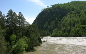 Утро весенней природы