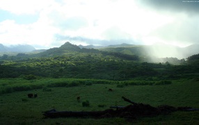 Горы весной