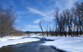 Silence spring creek