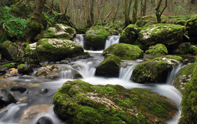 Весенний ручей в камнях