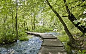 Ручей весной